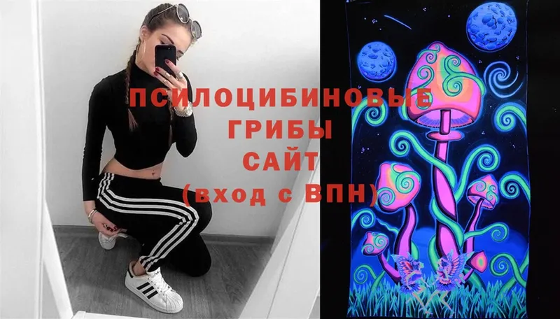 Псилоцибиновые грибы MAGIC MUSHROOMS  где можно купить   Медынь 